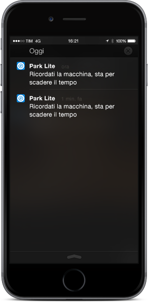 ParkOne_App2015_alert_IT Notification